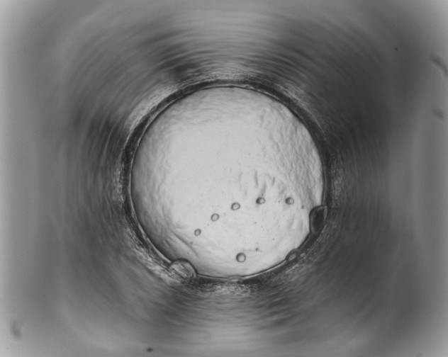 X0000101971026200808011126