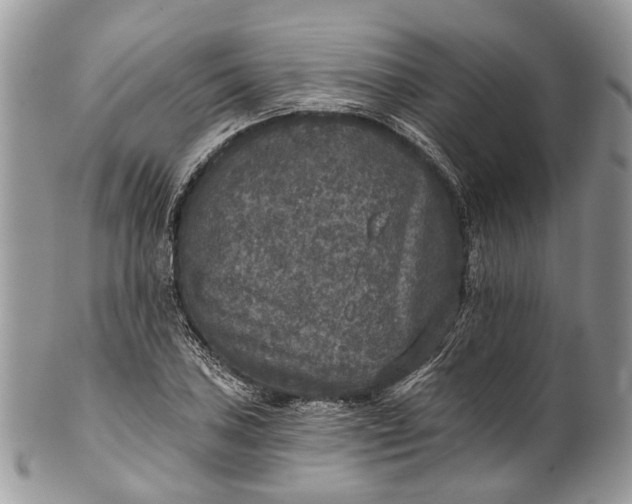 X0000101971027200808011126