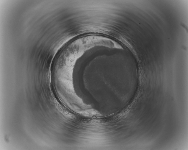 X0000101971028200808011126