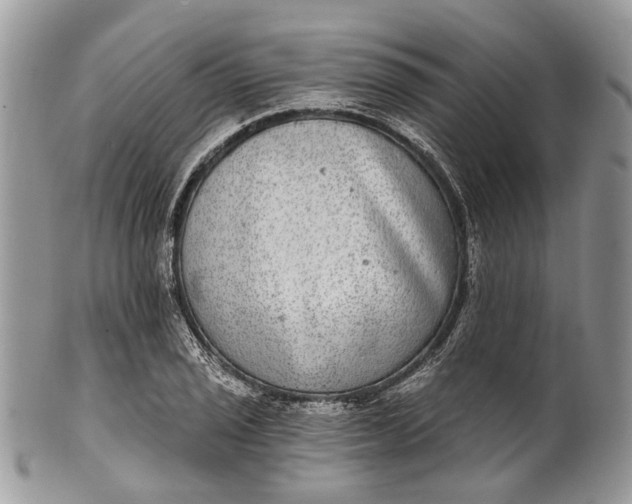 X0000101971029200808011126