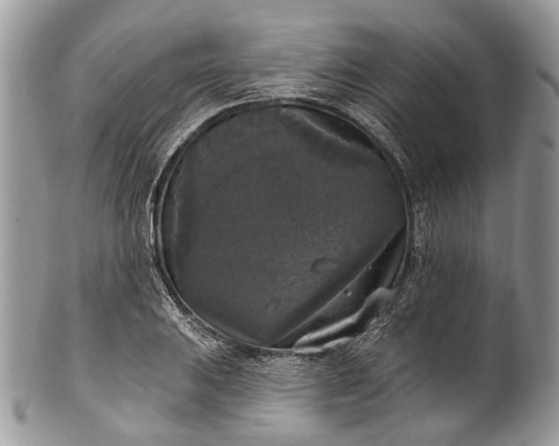 X0000101971031200808011126