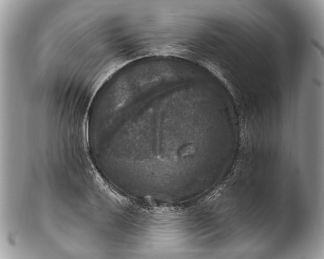 X0000101971032200808011126