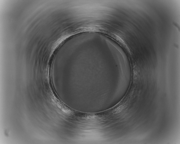 X0000101971035200808011126