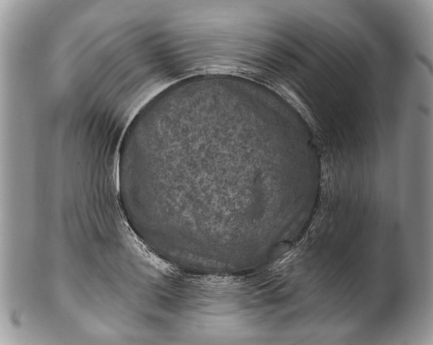 X0000101971036200808011126