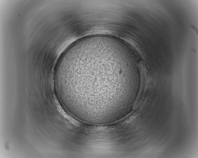 X0000101971038200808011126