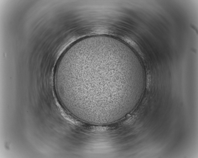 X0000101971039200808011126