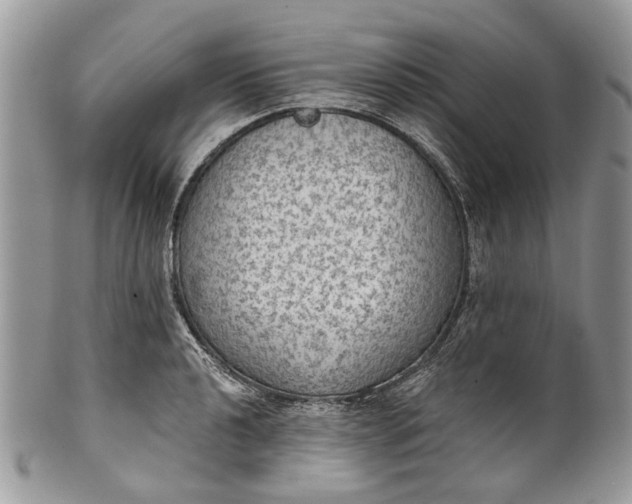 X0000101971040200808011126