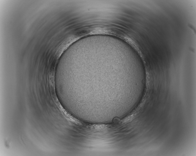 X0000101971041200808011126