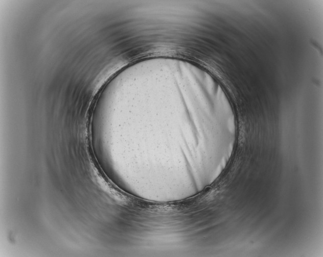 X0000101971042200808011126