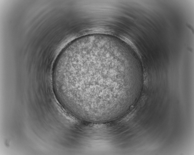 X0000101971043200808011126