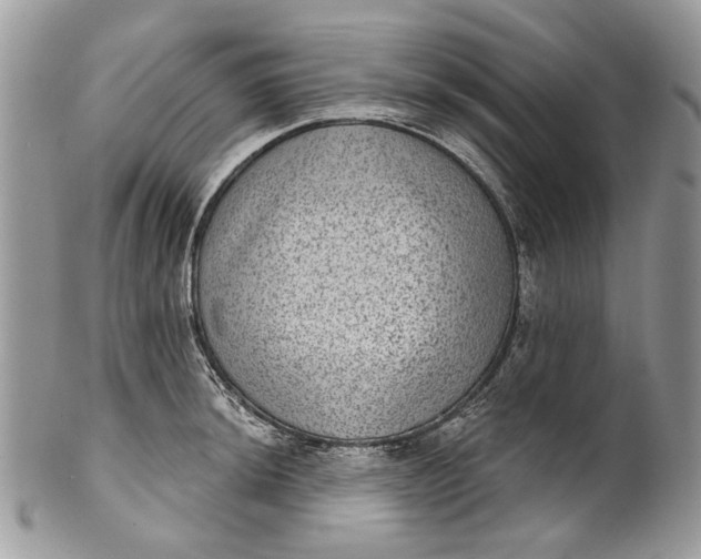 X0000101971044200808011126