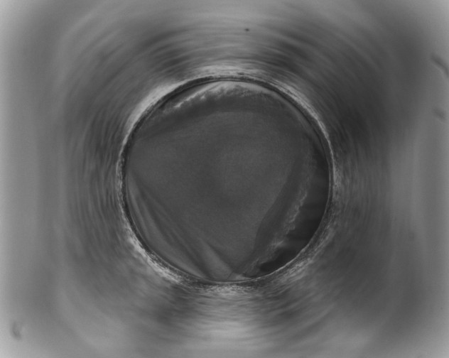 X0000101971045200808011126