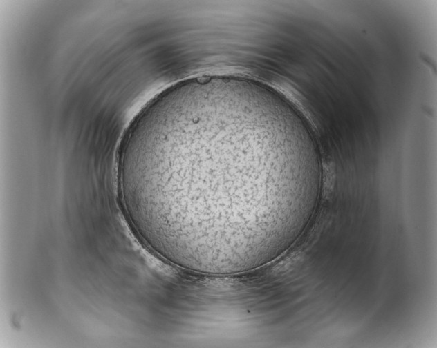 X0000101971046200808011126