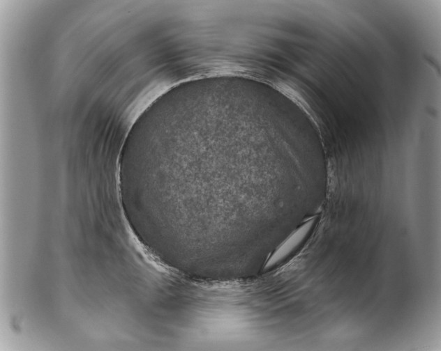 X0000101971047200808011126