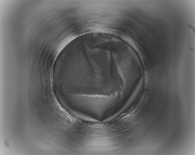 X0000101971048200808011126