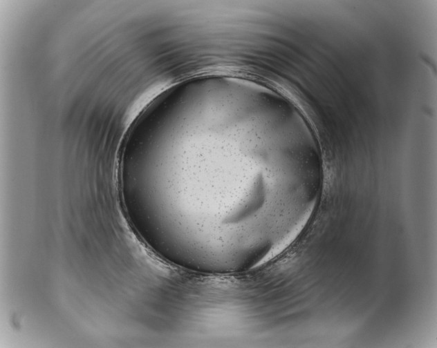 X0000101971050200808011126