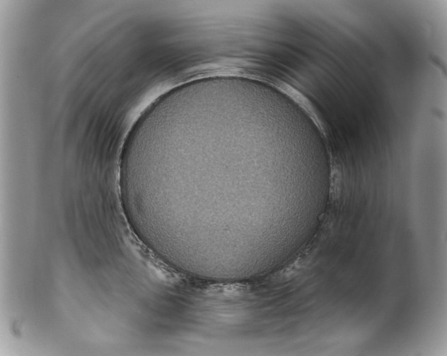 X0000101971051200808011126