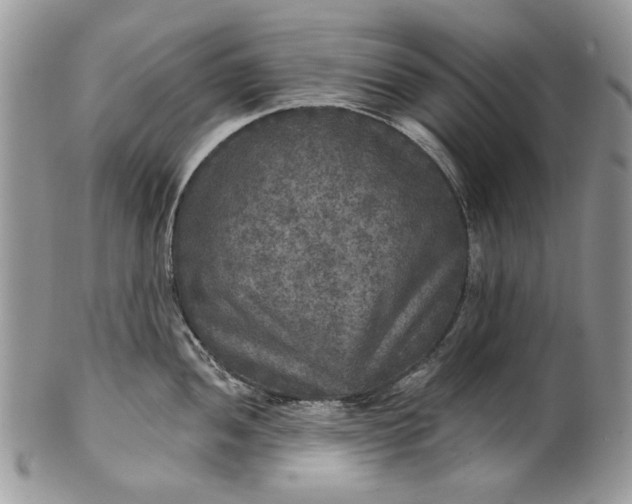 X0000101971052200808011126