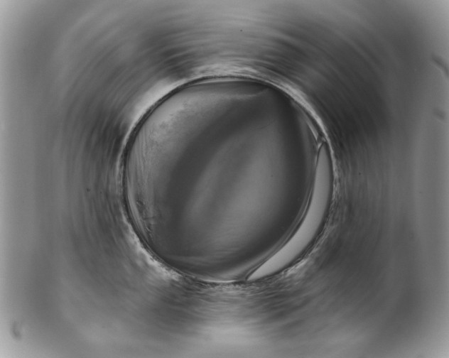 X0000101971053200808011126