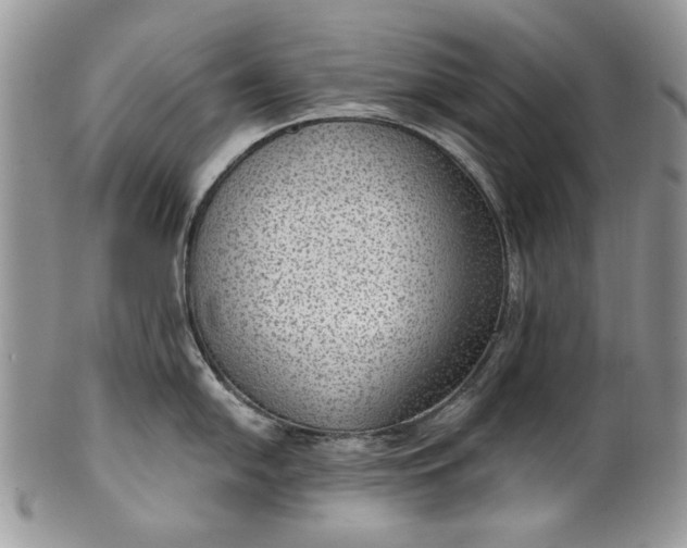 X0000101971054200808011126