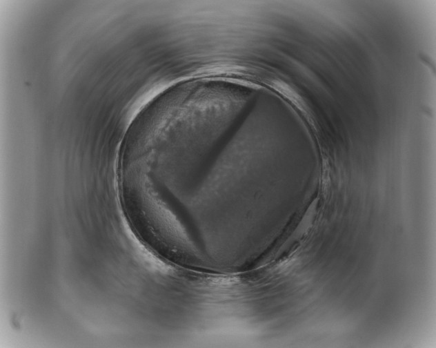 X0000101971055200808011126