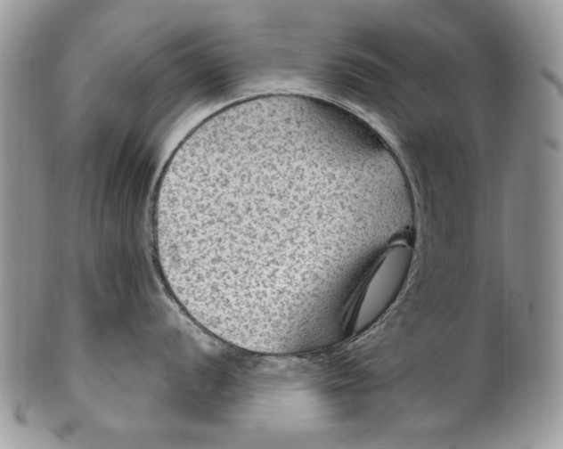 X0000101971056200808011126