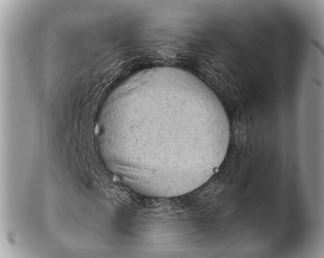 X0000101971057200808011126