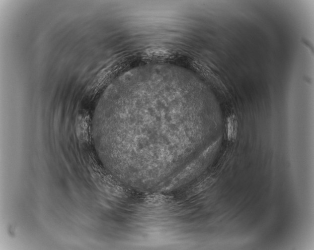 X0000101971059200808011126