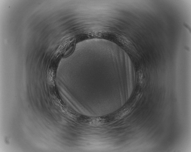 X0000101971060200808011126