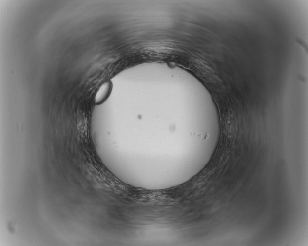 X0000101971061200808011126