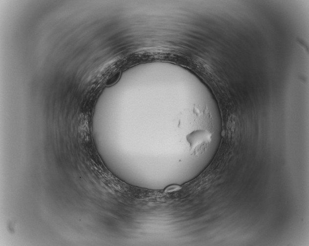 X0000101971062200808011126