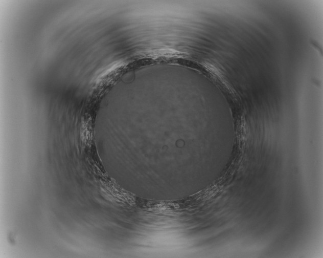 X0000101971063200808011125