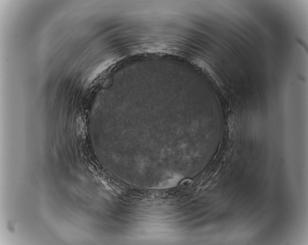 X0000101971064200808011125