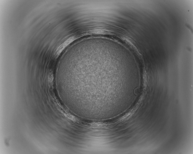 X0000101971065200808011125