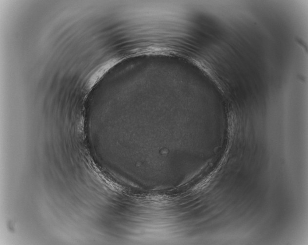 X0000101971066200808011125