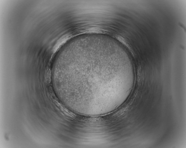 X0000101971067200808011125