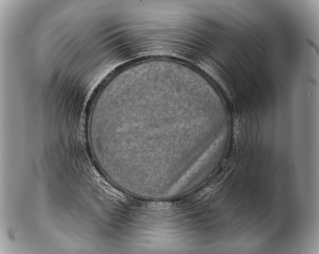 X0000101971068200808011125