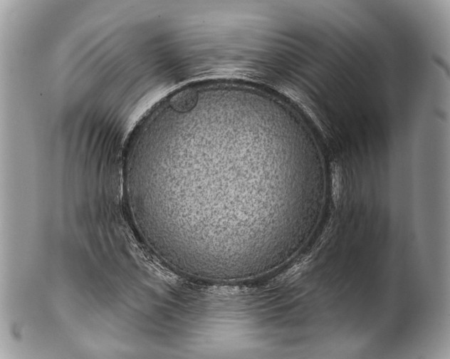 X0000101971069200808011125