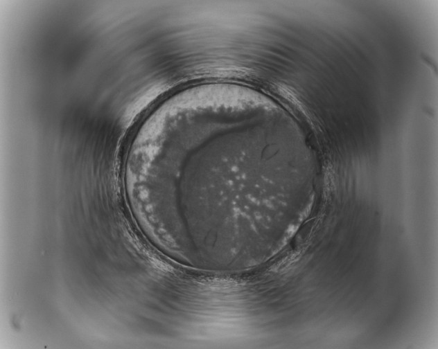 X0000101971071200808011125