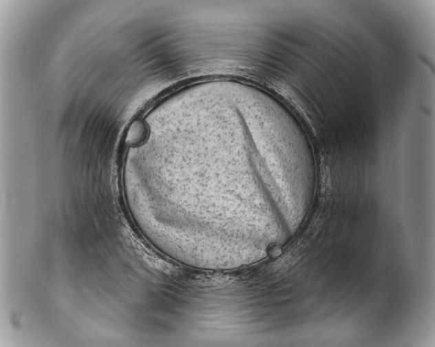 X0000101971072200808011125