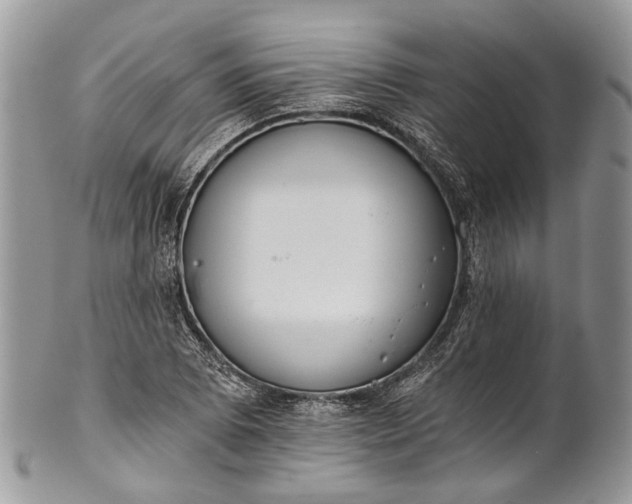 X0000101971073200808011125