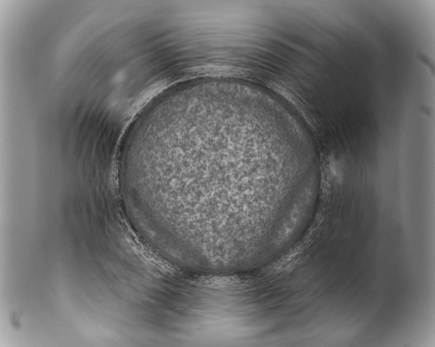 X0000101971074200808011125