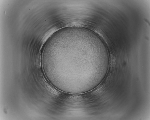 X0000101971075200808011125
