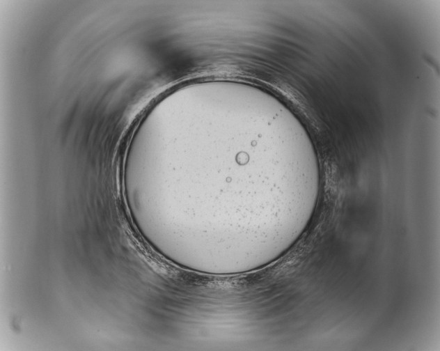 X0000101971078200808011125