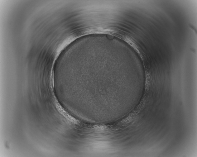 X0000101971080200808011125
