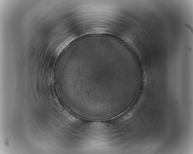 X0000101971081200808011125