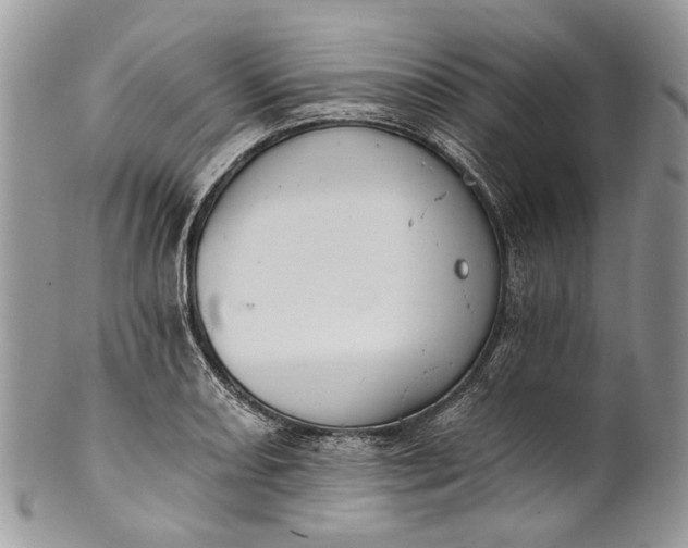 X0000101971082200808011125