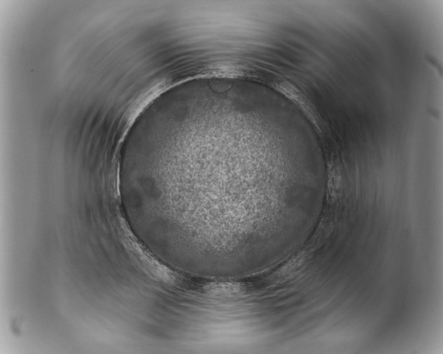 X0000101971083200808011125