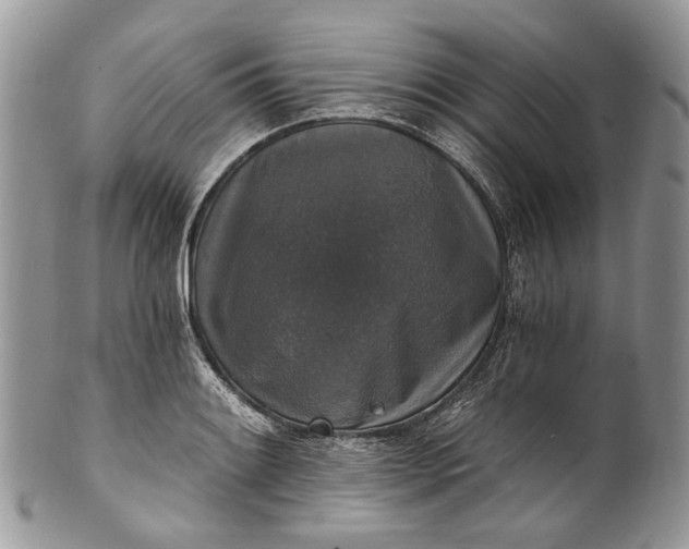 X0000101971084200808011125