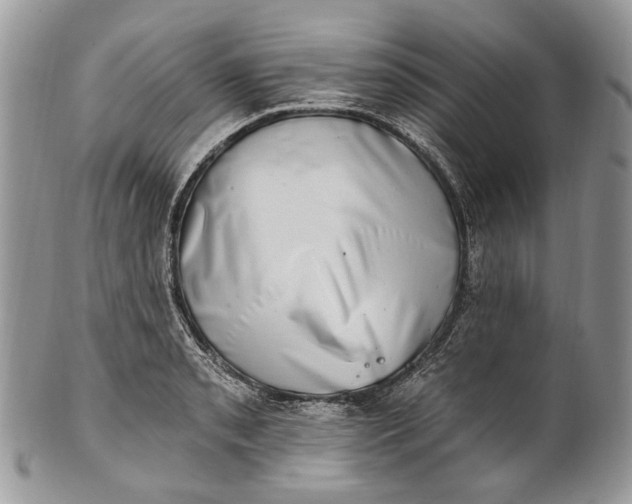 X0000101971085200808011125